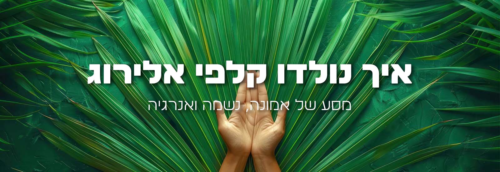 איך נולדו קלפי אלירוג – מסע של אמונה, נשמה ואנרגיה Alirog