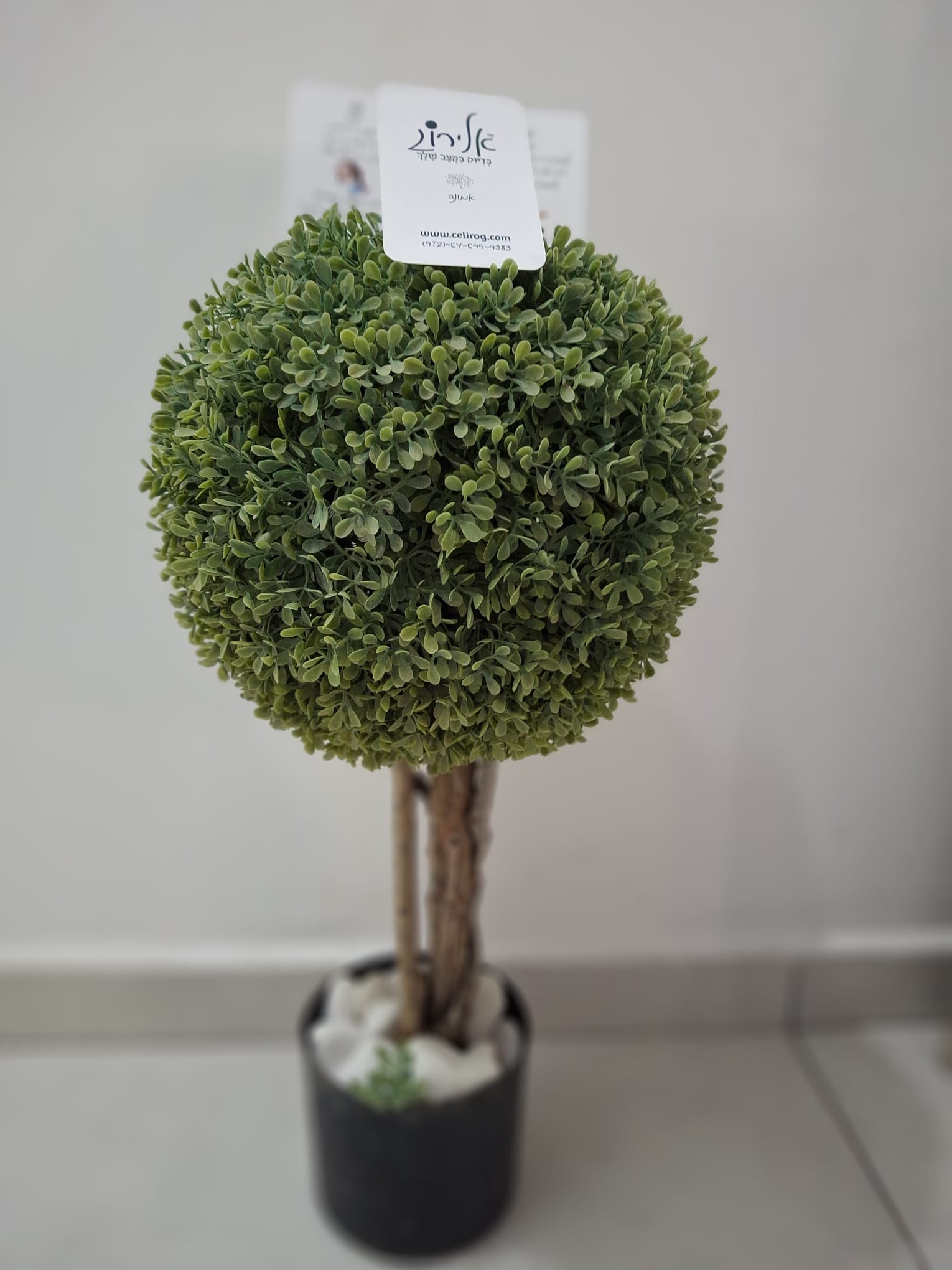 אלירוג, חזון גדול