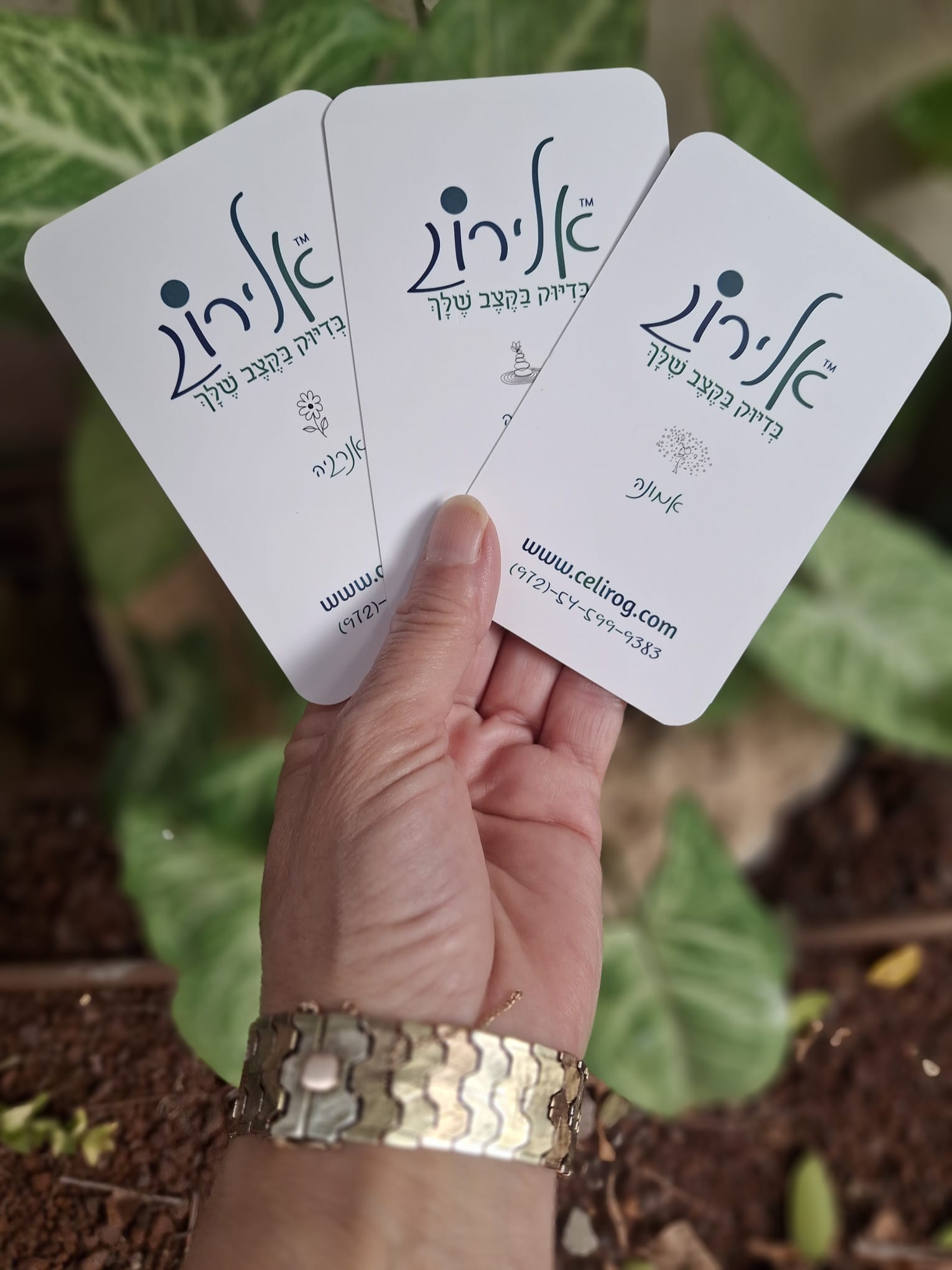 אלירוג, סט קלפי נשמה