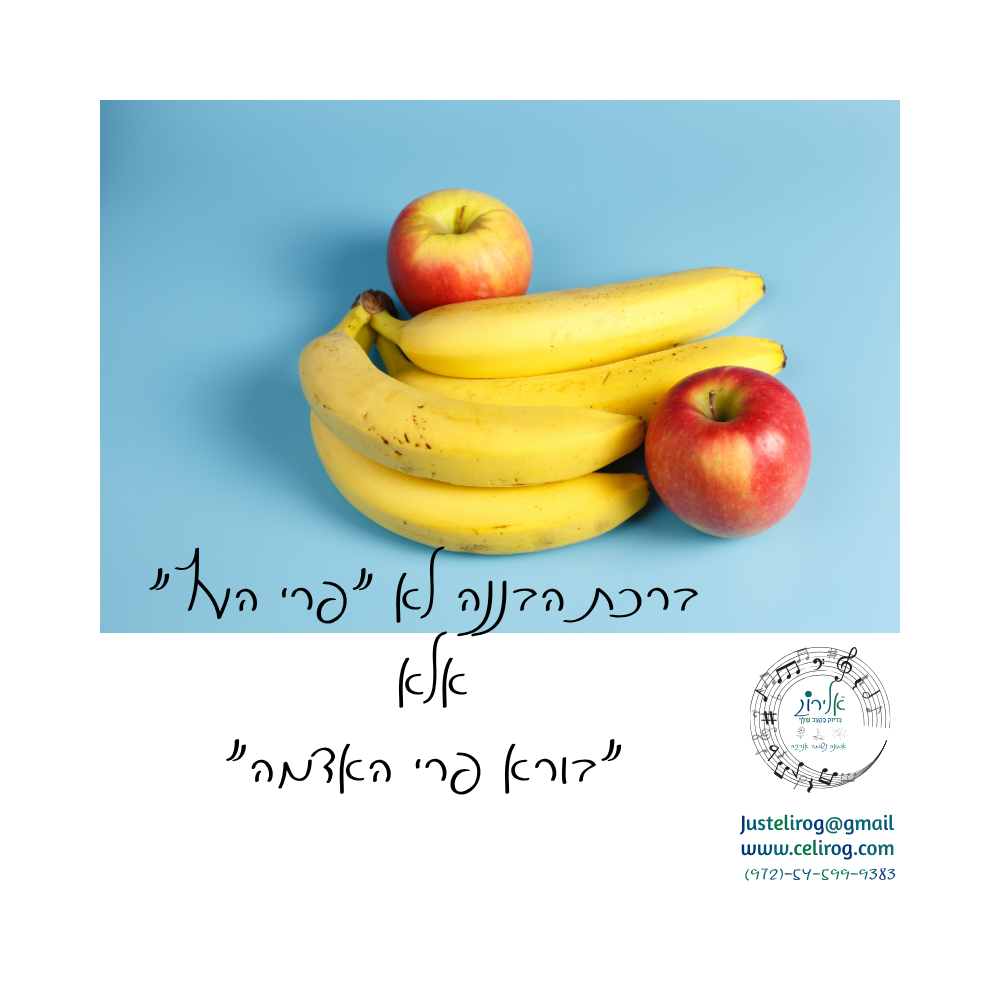 אשכול בננות על שיח גבוה מה מברכים על בננה אלירוג