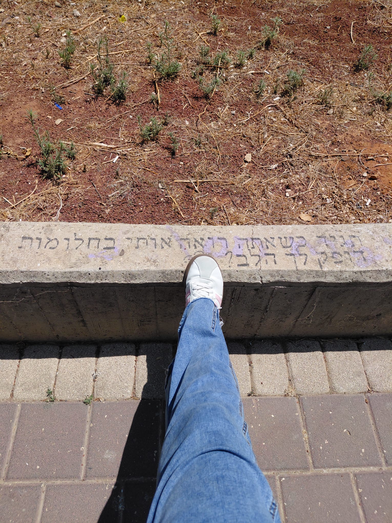 חברים באמצע הדרך – חלקם נשארים וחלקם נעזבים. על אנשים, אנרגיה, בחירות והאומץ להבין שלא כל מי שהתחיל איתנו את הדרך צריך להמשיך איתנו עד סופה.
