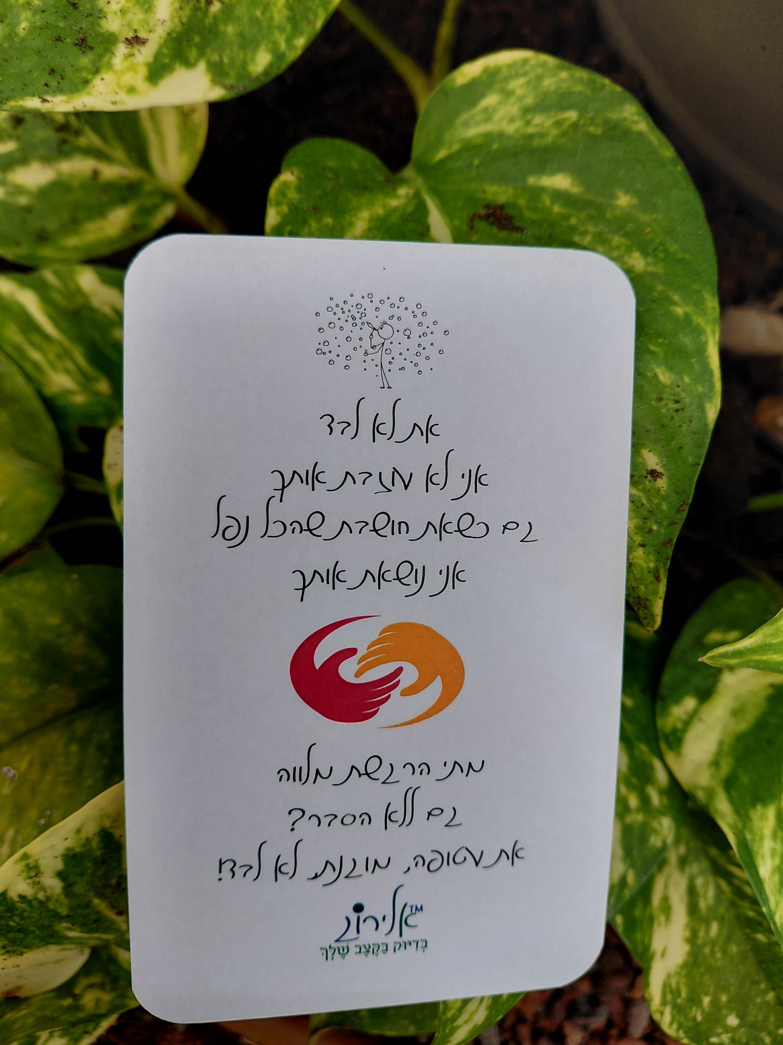 אלירוג אמונה נשמה אנרגיה – סיפור אישי של ג׳וריאל כהן בניו יורק