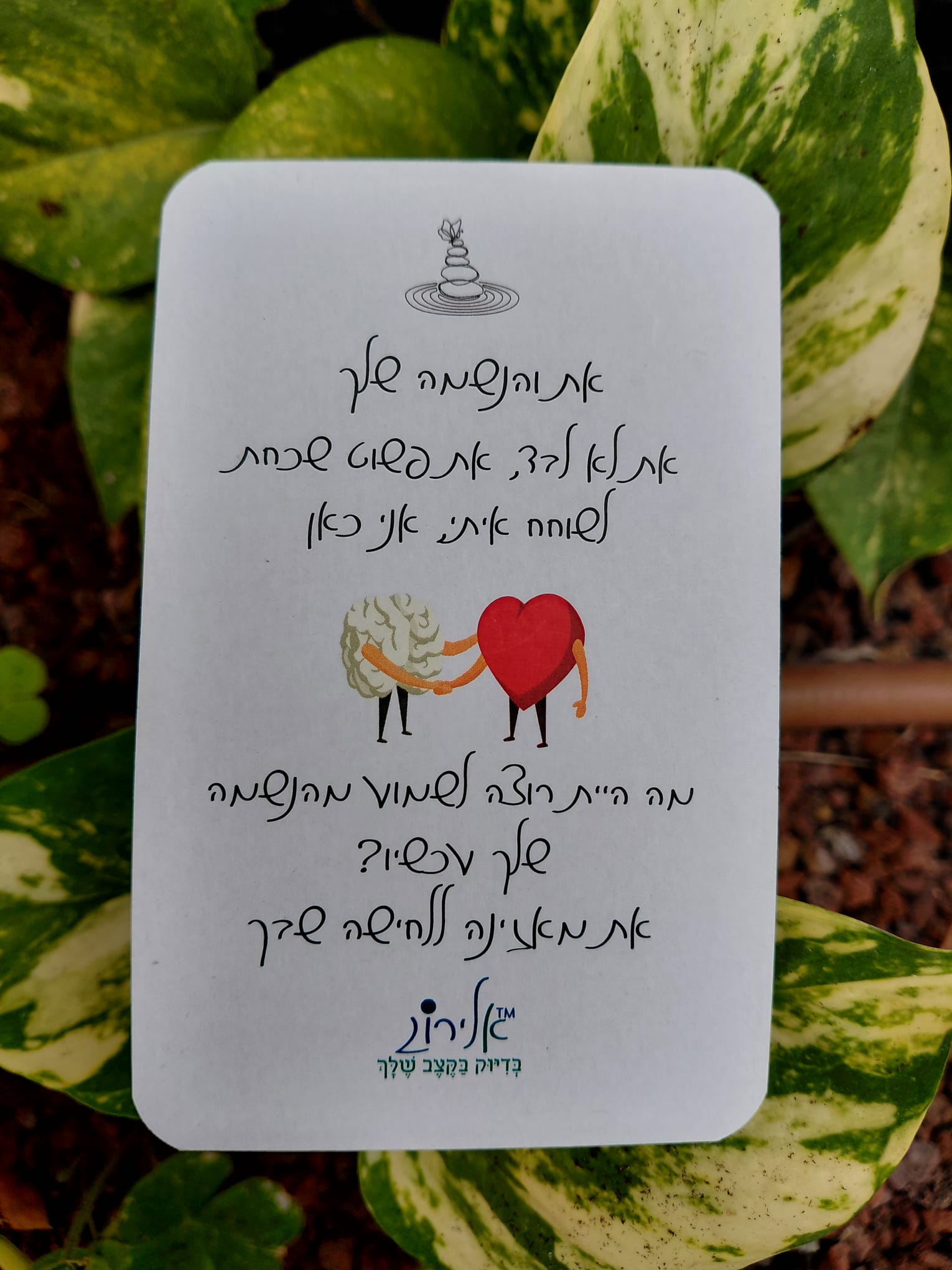 אלירוג אמונה נשמה אנרגיה – סיפור אישי של ג׳וריאל כהן בניו יורק
