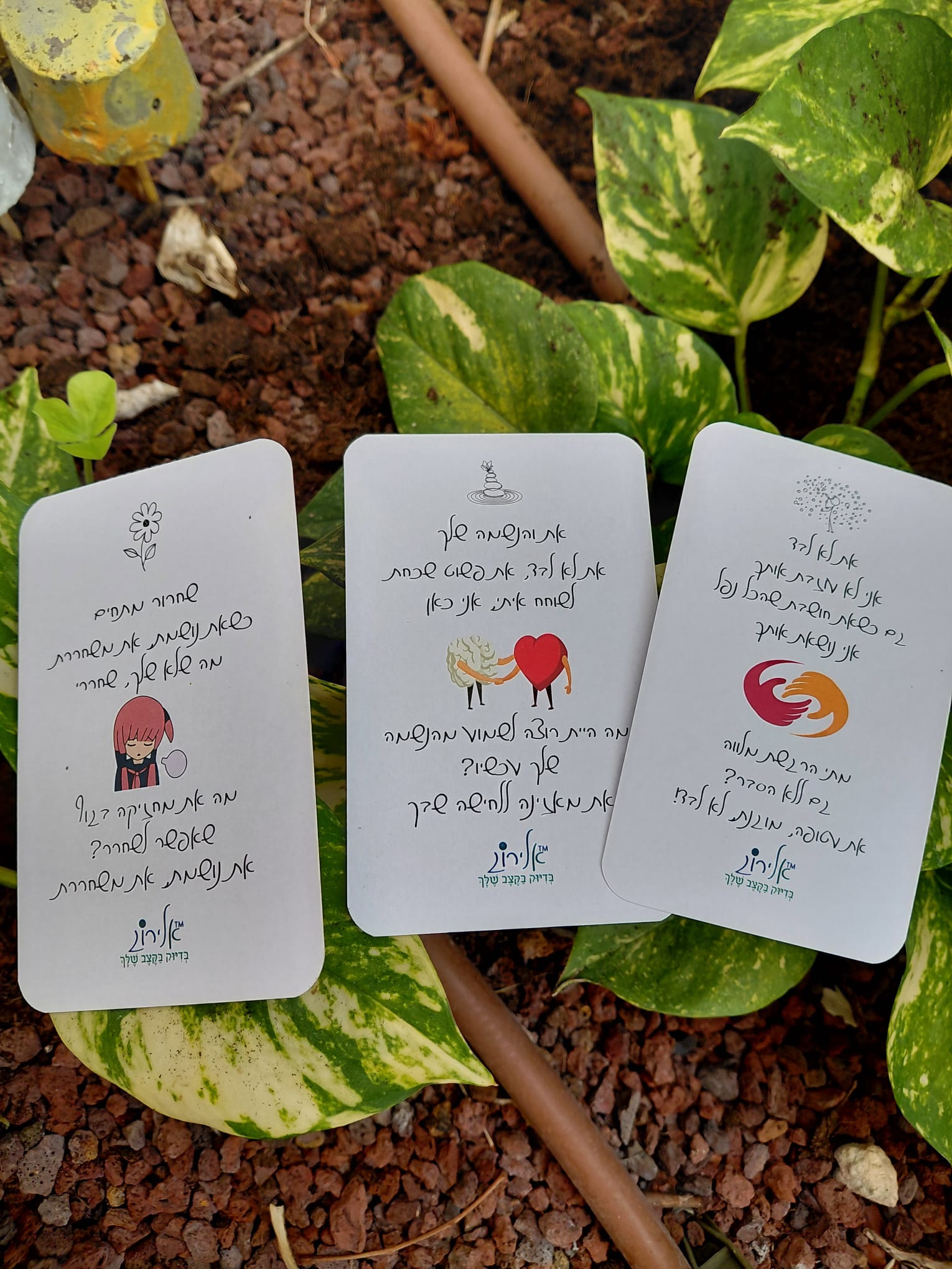 אלירוג אמונה נשמה אנרגיה – סיפור אישי של ג׳וריאל כהן בניו יורק