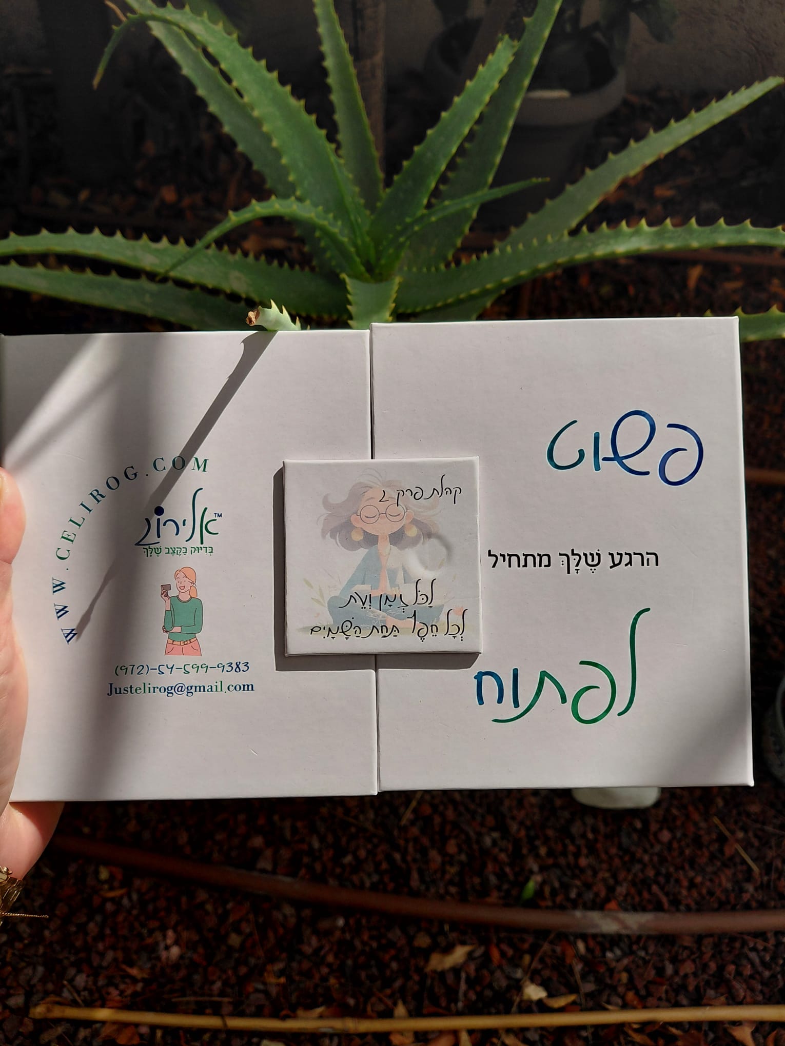 אלירוג אמונה נשמה אנרגיה – סיפור אישי של ג׳וריאל כהן בניו יורק